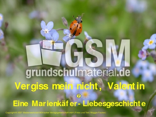 Vergiss-mein-nicht-Valentin.pdf